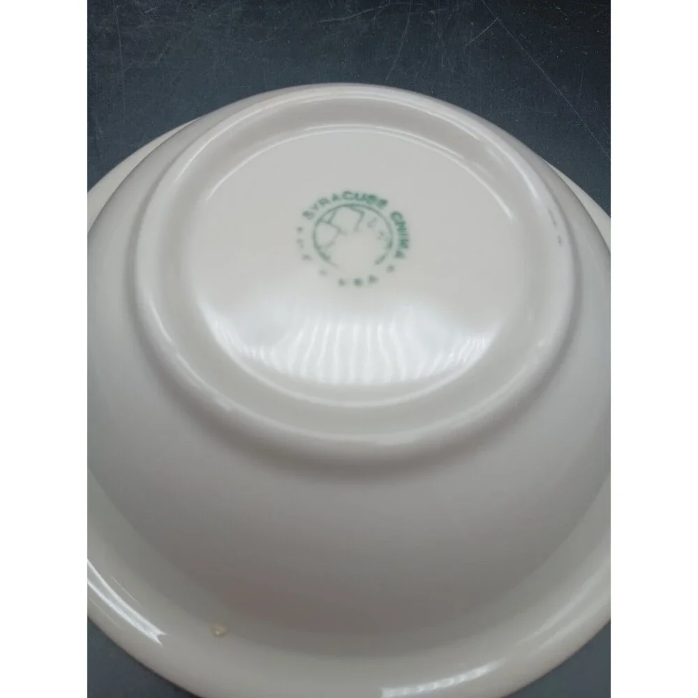 4 syracuse china bowls Airbrushed Bamboo USA 6
